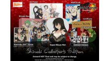 Shinobi-Collectors-Edition-8