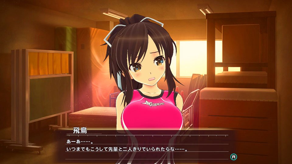 Shinobi Refle Senran Kagura images (3)