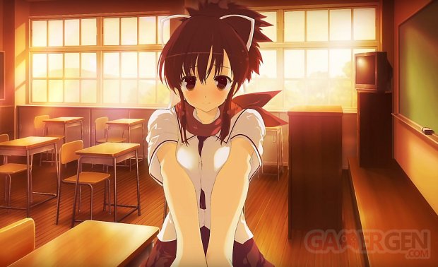 Shinobi Refle Senran Kagura images