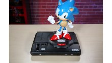 Sonic Mania Collector images (11)