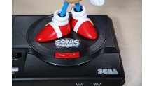 Sonic Mania Collector images (12)