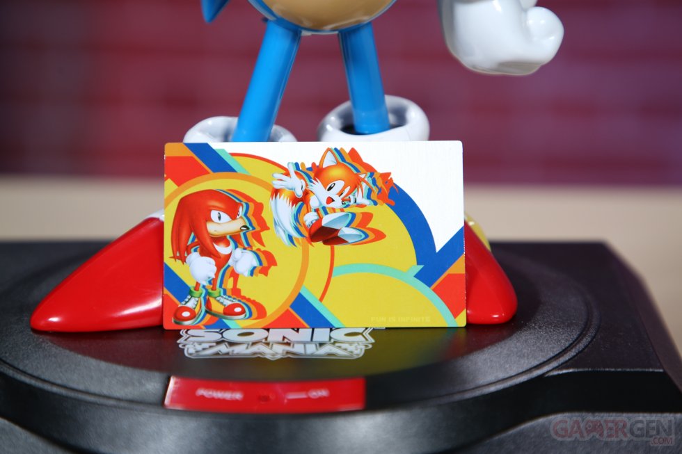 Sonic Mania Collector images (16)