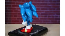 Sonic Mania Collector images (8)