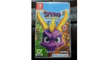 Spyro Reignited Trilogy images switch edition (2)