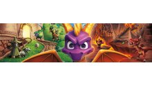 Spyro Reignited Trilogy test editions Switch impressions images (1)