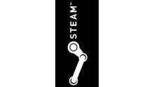 Steam bouton