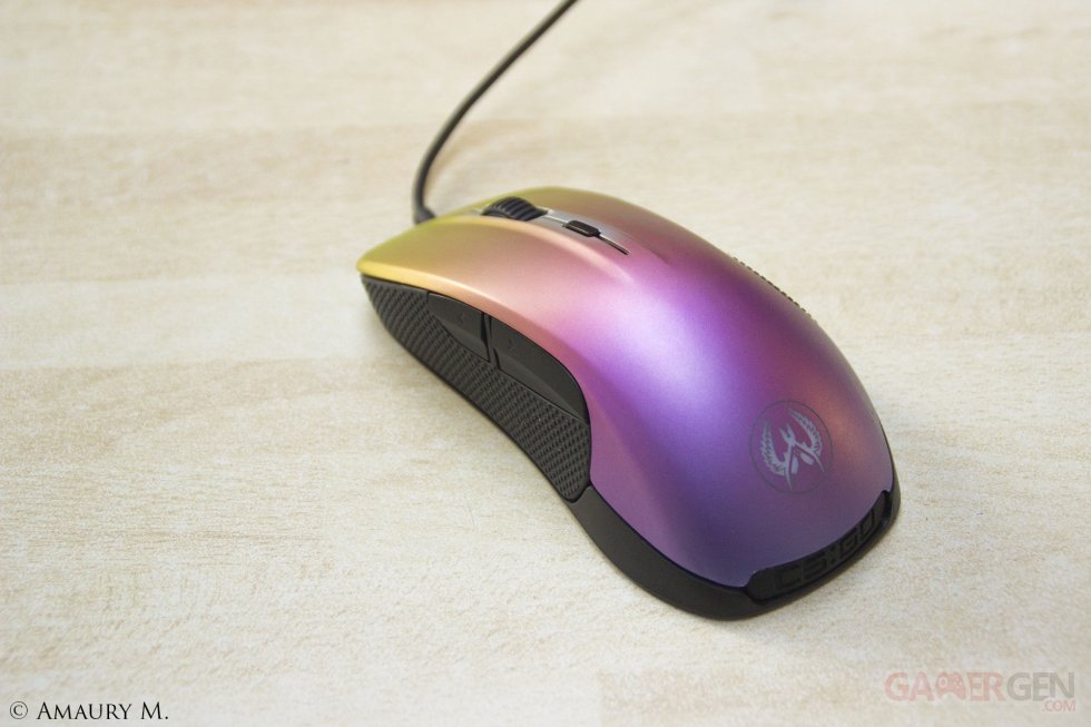 SteelSeries Rival 300 CS GO Fade Edition Test Note Avis Review Photo Image Gamergen_com Clint008_1