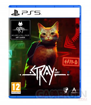 Stray Boite Physique PS5