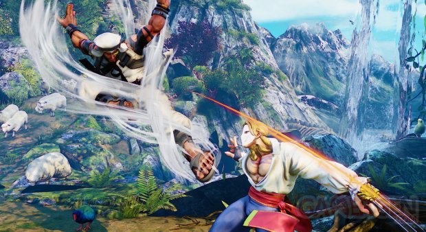 Street Fighter V 11 09 2015 screenshot (8)