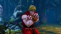 Street Fighter V (15)