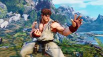 Street Fighter V (17)