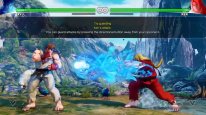 Street Fighter V (22)