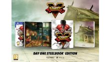 Street-Fighter-V_23-11-2015_Day-One-Steelbook-Edition
