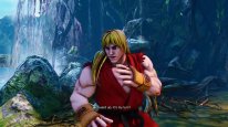 Street Fighter V (24)