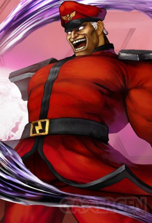 Street Fighter V  (24)