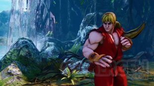 Street Fighter V (25)