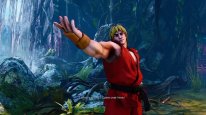 Street Fighter V (6)