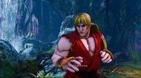 Street Fighter V (7)