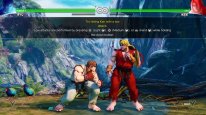 Street Fighter V (9)