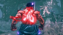 Street Fighter V Arcade Edition 01 17 12 2018