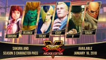 Street Fighter V Arcade Edition image season 3 character pass (14)