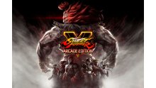 Street Fighter V Arcade Eedition images (3)