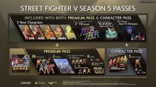 Street-Fighter-V-Champion-Edition-Character-Premium-Pass-11-02-2021