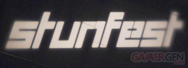 Stunfest 2016 Lumière Logo Bannière