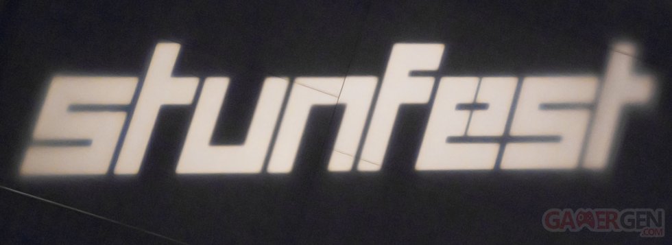 Stunfest 2016 Lumière Logo Bannière