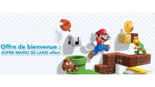 Super Mario 3D Land 20.11.2013.