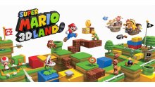 Super-Mario-3D-Land-31-01-2019