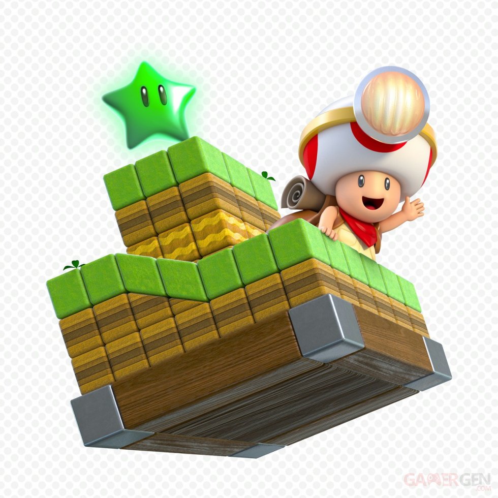 Super Mario 3D World 21.11.2013 (9)