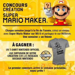 Super Mario Maker Concours