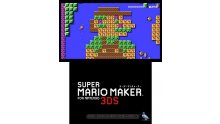 Super Mario Maker for 3DS images (3)