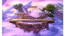 Super Smash Bros 3DS 09.04.2014  (106)