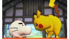 Super Smash Bros 3DS 09.04.2014  (56)