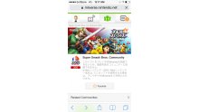 Super Smash bros 3DS miiverse internet 3