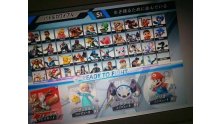 Super Smash Bros leak roster