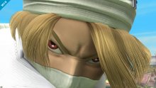 Super Smash Bros. Sheik 09.04 (6)