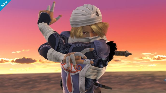 Super Smash Bros. Sheik 09.04 (8)