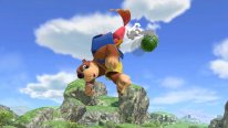 Super Smash Bros Ultimate 05 05 09 2019