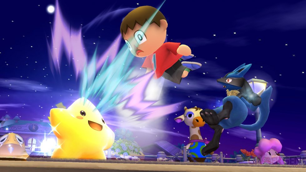 Super Smash Bros Wii U 09.04.2014  (10)