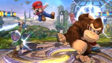 Super Smash Bros Wii U 09.04.2014  (188)