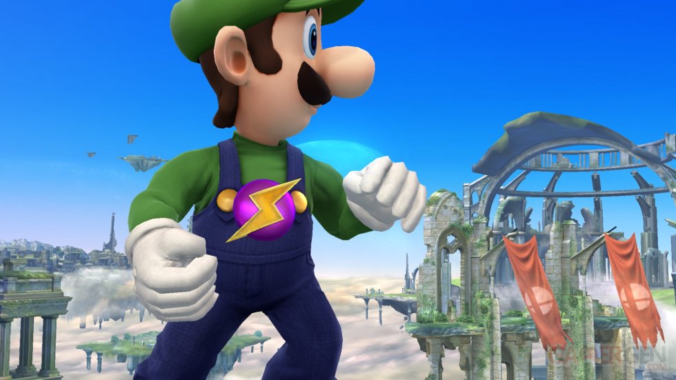 Super Smash Bros Wii U 09.04.2014  (52)