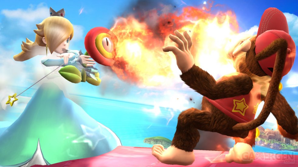 Super Smash Bros Wii U 09.04.2014  (71)