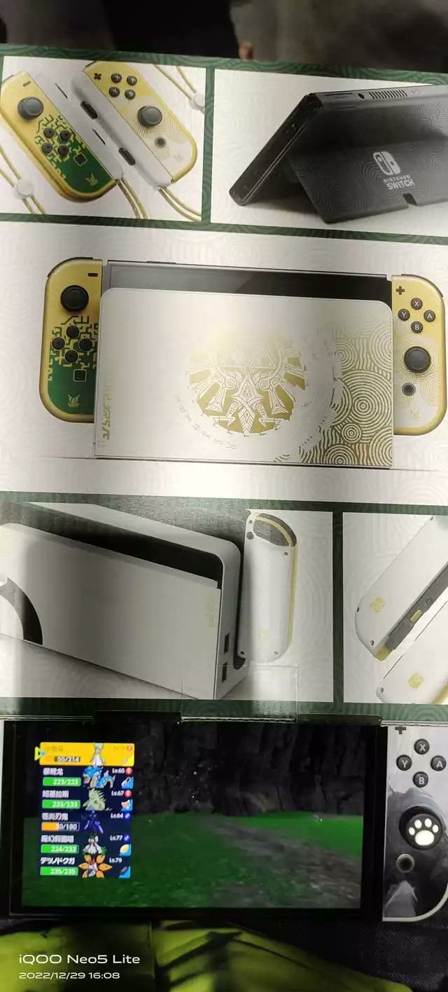 Switch-collector-The-Legend-of-Zelda-Tears-of-the-Kingdom-leak-02-30-12-2022