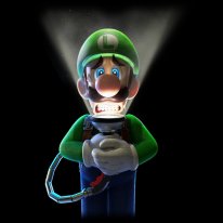 Switch LuigisMansion3 E3 artwork 083