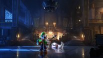 Switch LuigisMansion3 E3 artwork 153