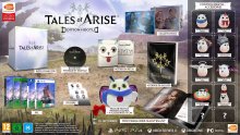 Tales-of-Arise-édition-Hootle-21-04-2021