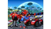 Team-Sonic-Racing-15-01-2019